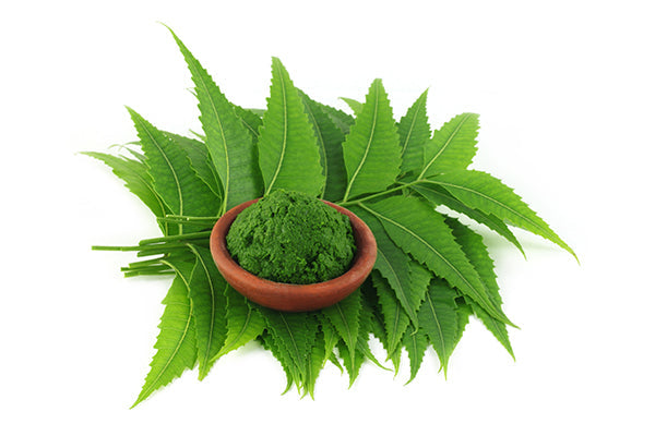 Neem