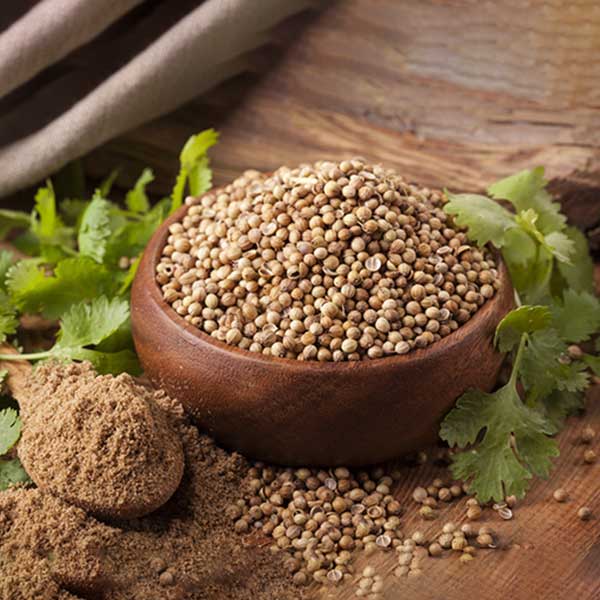 Coriander